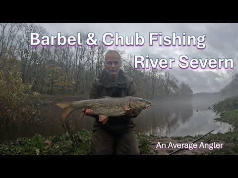 Barbel & Chub Fishing - Middle Severn - Mid November