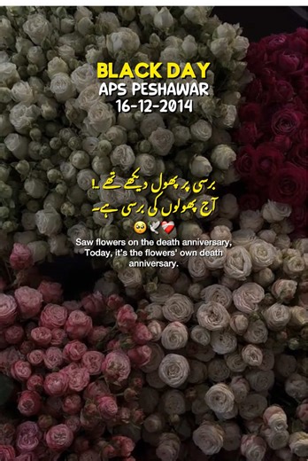 Black Day 16 December ❤️‍🩹🥺 || APS Incident 💔 || APS 16-12-2014 Incident 😔 || New Status Video ✨ #blackday #16december #tragedy #statusvideo #foryoupage