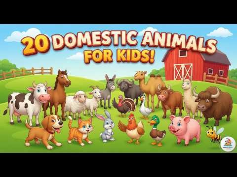 Learn 20 Domestic Animals for Kids | Domestic Animals For Children, Kids And Toddlers