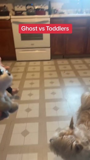 #CapCut ghost va toddlers #ghost #spirits #scaringpeople #paranormalactivity #haunted #creepy #spooky #ghosts #mysterious #strangerthings #hauntedtiktok #toddler #toddlersoftiktok #ghostvideo #paratiii