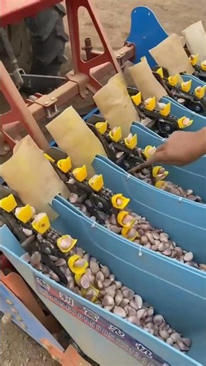 Automatic all-in-one garlic planting machine #shortsvideo