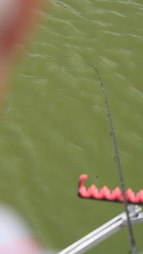 🎣 Precision Meets Power – The Nytro Marvelist Light Carp Feeder Rod 🐟 ✅ Ultra-light blank for effortless casting ✅ Perfectly tuned for small to medium-sized carp ✅ Crisp action with responsive tip for bite detection ✅ Ideal for commercial fisheries and light feeder work Whether you're chasing quick bites or testing your finesse, this rod delivers the performance you need. 💥 Cast smart. Hook sharp. Fish like a Marvelist. 🛒 Check the rods out here 👉 https://bit.ly/4l5Zn4v #AnglingDirect #Nytr