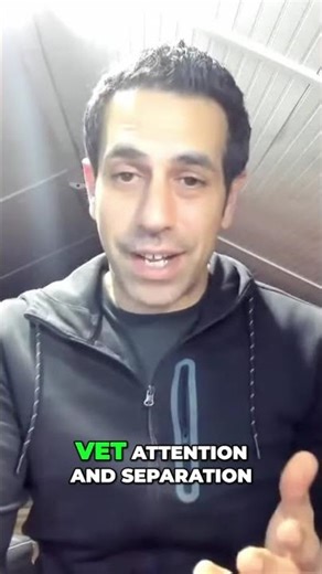 Dog Fight: Should I Rehome My Boxer Mixes? #shorts