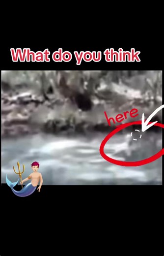 #mermaids #fyp #virial #supernatural #reallife | mermaids