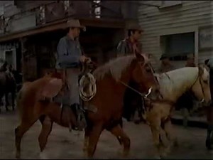 1 23 The Man Without a Gun