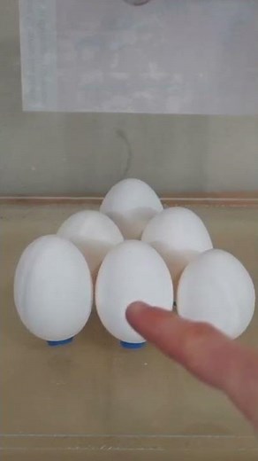 What Happens To Eggs In a Vacuum Chamber?