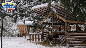 The yarns she sells are a mix of raw wool from her farm and those sourced from a Hutterite colony. For more, CLICK HERE: https://www.todayinbc.com/life/pender-island-alpaca-llama-sanctuary-turn-wool-into-yarn/ #hinterlandfarm #yarnmill #alpacasanctuary | AbbyNews | Facebook