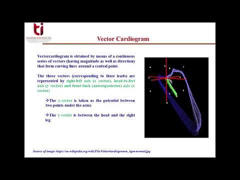 Lecture 7.2 Vector cardiography