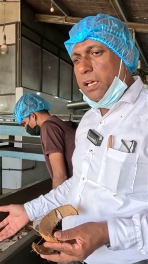 අඹ පැලයක පළමු කප්පාදුව | TJC අඹ වගාව | HARTI