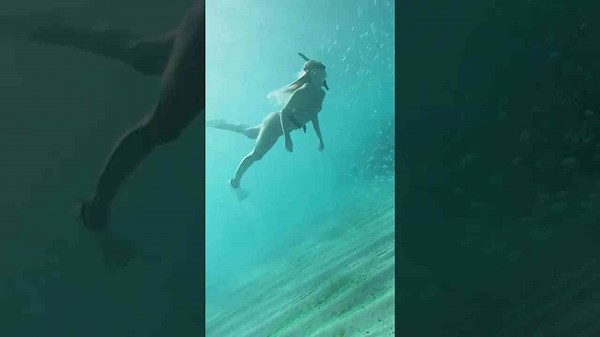 She thought it was just fish… until they moved like this