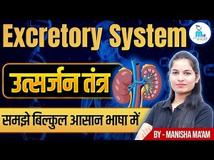 Excretory System in Hindi | Excretory System | Structure & Function | Kidney