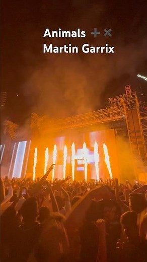 Animals MARTIN GARRIX LIVE ‪@MartinGarrix‬ #mumbai #martingarrixanimals