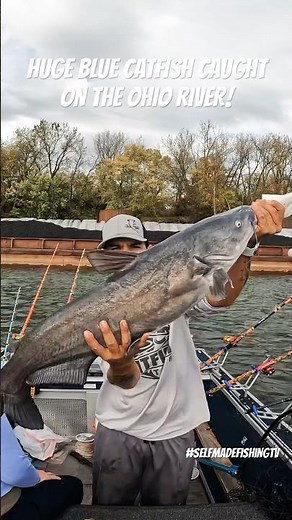 HUGE Blue Catfish CAUGHT on the Ohio River! (Cincinnati Catfishing)