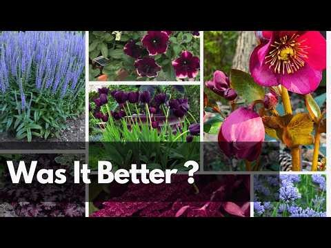 Planning a Garden the Old-Fashioned Way