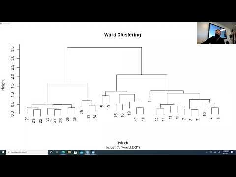 Clustering in R