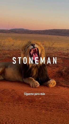 Estás en el lugar equivocado . 🔥Ya entendiste el mensaje. Ahora, ¿vas a actuar o vas a dejar que todo se quede en palabras? 💪No importa cuánto hayas caído, si te levantas hoy, ya ganaste. 🧘Esta app no es magia, pero sí una herramienta real para enfocarte, calmarte y trabajar en ti desde adentro. Te la dejo en el link de mi perfil. Descárgala y demuéstrate a ti mismo que esta vez vas en serio. Confía en el plan de Dios . . . . . . . #motivacion #motivación #videomotivacional #disciplina #desar