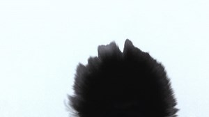 Download Spreading Black Ink Overlay for free