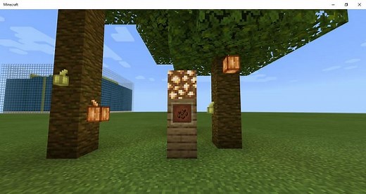 How to grow cocoa beans in Minecraft easily