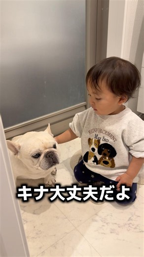 1歳児が愛犬を見つけたらこうなりました… #日常 #赤ちゃん #フレンチブルドッグ