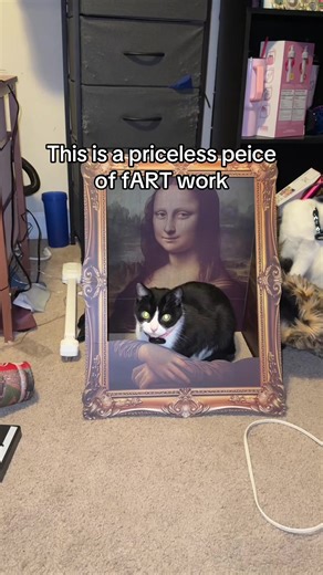 Cat Scratch Pad and Bed for Your Feline Friends