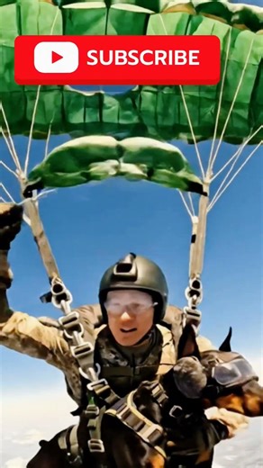 Elite protection dogs that shouldn't exist #doberman #military #skills