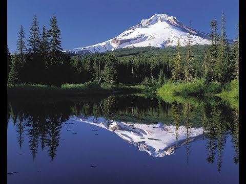 C++ Template Metaprogramming Madness [Reflective Serialization]