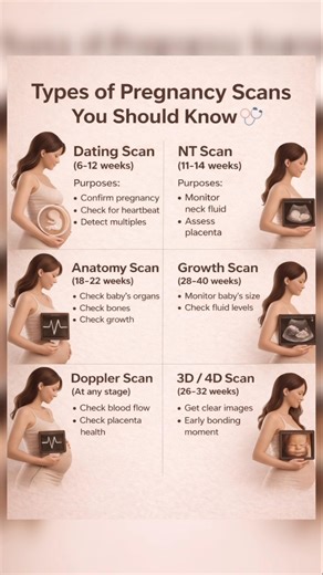 Don’t Miss These Pregnancy Scans! Baby Safety Guide 👶💖 #pregnancy #ultrasound #scan #pregnancytips