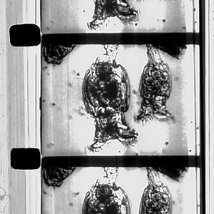 K/S/R - Songs From A Cinema