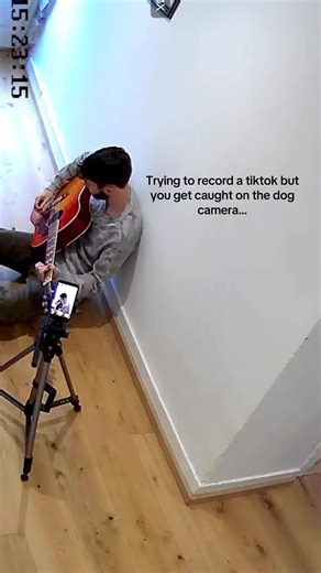 Recording Fails Captured on Dog Camera