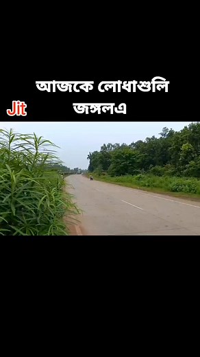 16K views · 11K reactions | রাম লালার রাম লীলা , আজকে লোধাশুলি জঙ্গলএ #Lodhasuliforest #Jhargram #elephant | Samar Jit Rana | Facebook