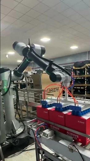 Cobot Case Packer | Dual-Box Carton Filling System