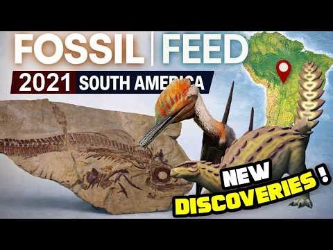 NEW DISCOVERIES : 2021 Paleontology in South America