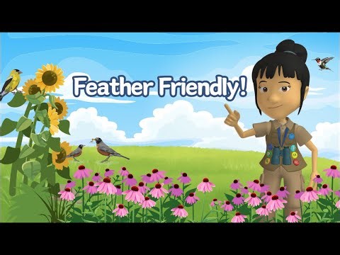 A WonderGrove for Birds: Feather Friendly