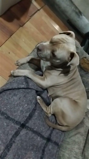 24 de febrero de 2026