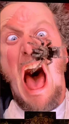 Home Alone Spider Scene (Marv Screams!!!)