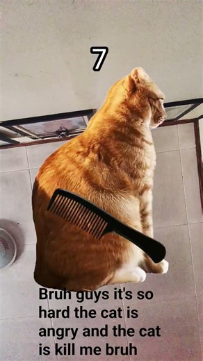 lol I died because of that cat hahahahahahahahahahahahahaha