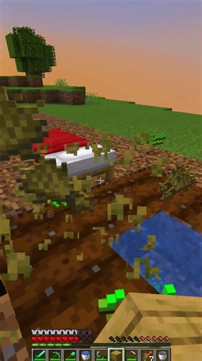 Indian map Island Minecraft ! #shorts #dynamicgamer