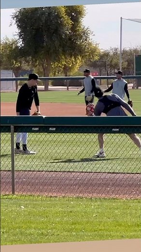 WHITE SOX Spring Training - Spring Training - Baseball - MLB - Cactus League - Chicago White Sox