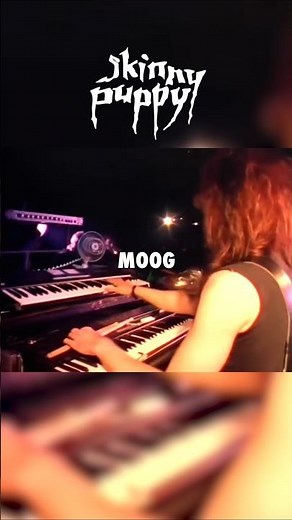 cEvin Key's first synthesizer, the Moog Multimoog - Skinny Puppy