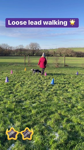 1.1K views · 19 reactions | Naughty but Nice Retreat - https://www.devondogs.co.uk/upcoming-retreats/ | Devon Dogs | Facebook