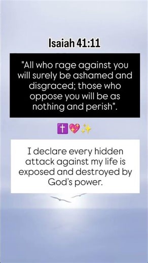 Your enemies will fall | Isaiah 41:11 #bible #bibleverse #verseoftheday #jesus #jesuschrist #shorts
