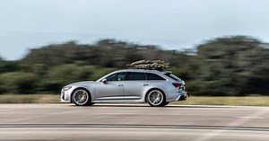 WATCH | World’s fastest Christmas tree?