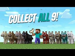 The ULTIMATE Minecraft Dog Guide 2026: All 9 Variants, Armor & Secret Tricks!