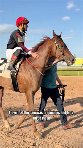 4.5K views · 58 reactions | 2025 Texas Thoroughbred Association Derby winner Jolly Samurai has already repaid owner Jake Brown in dividends!  Now four for seven lifetime, Jolly Samurai has earned $204,696, after passing through the 2023 TTA Yearling Sale ring for just $8,000!  | Sam Houston Race Park | Facebook