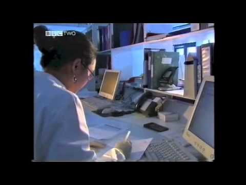 BBC iScience Human Genome