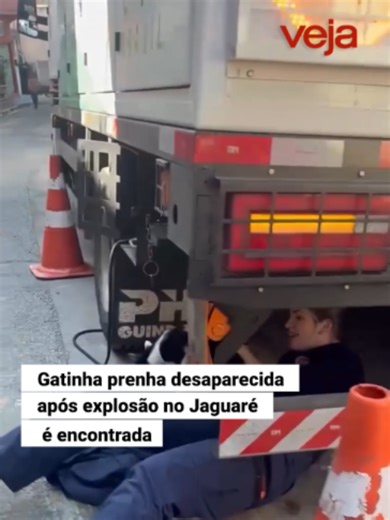 Uma gata prenha desaparecida desde a explosão em uma obra da Sabesp que atingiu uma tubulação de gás da Comgás no Jaguaré, na Zona Oeste de São Paulo, foi resgatada pela Defesa Civil nesta quinta-feira (14) próximo aos escombros dos imóveis atingidos pelo acidente. Segundo a Defesa Civil, a gata, chamada Felícia, foi vista circulando assustada na área onde equipes atuavam na preparação para a demolição de imóveis condenados após a explosão. Imagens: reprodução/Defesa Civil #Jaguaré #SP #Gatos
