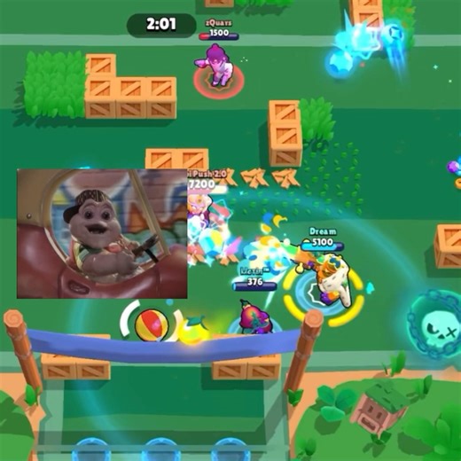 267 IQ Random #brawlstars