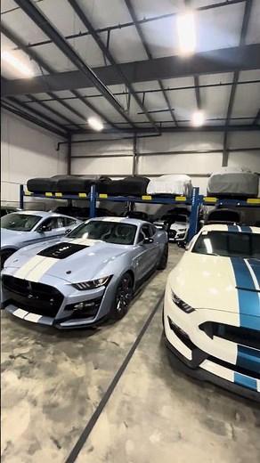 GT350 vs GT500