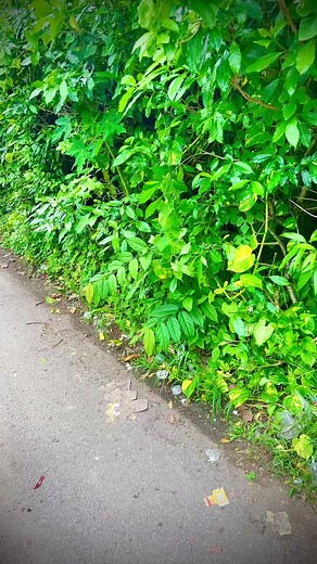 Y dance also problem to oters i dont understand😪😖