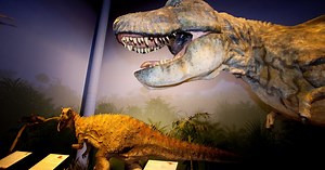 Who Won Bill Nye's Big Evolution Faceoff?